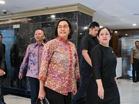 Ini Bocoran Full Isi Pembicaraan Puan Maharani & Sri Mulyani
