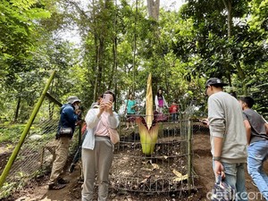 6.500-an Wisatawan Nikmati Libur Lebaran di Tahura Djuanda Bandung