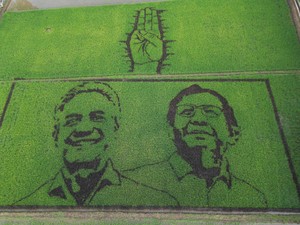 Bentuk Kecintaan, Seniman Ini Lukis Wajah Ganjar-Mahfud di Tengah Sawah