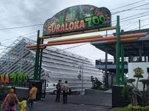 Suraloka Zoo: Harga Tiket, Wahana, Fasilitas, Jam Buka 2024