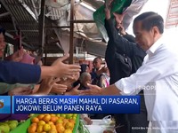 Video: Harga Beras Masih Mahal di Pasaran, Jokowi Ungkap Penyebabnya