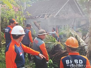 Ngeri, Pohon Kelapa Tumbang Timpa Rumah di Klungkung