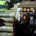 Subtitle Film Bawa Pengusaha Kayu Ini Mentas ke Mancanegara. Kok Bisa?