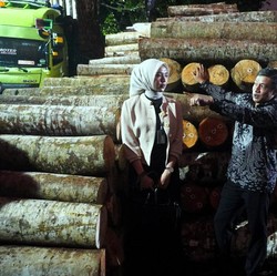 Subtitle Film Bawa Pengusaha Kayu Ini Mentas ke Mancanegara. Kok Bisa?