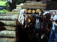 Subtitle Film Bawa Pengusaha Kayu Ini Mentas ke Mancanegara. Kok Bisa?