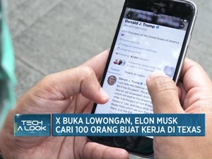  Siap-siap! Elon Musk Cari Pegawai Baru, Kamu Minat?