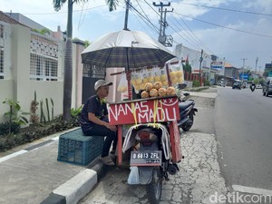 Alo Kesampingkan Gengsi, Jual Nanas Madu demi Bantu Ortu