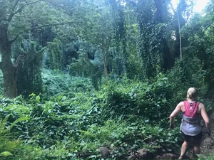 Terpopuler: Kala Pelari Lintas Gunung Bertemu Sosok Hantu di Hutan
