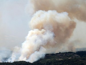 Penampakan Kebakaran Hutan yang Melanda Chile