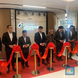 Gelontorkan US$ 800 Juta, PIS Bakal Remajakan 20 Kapal