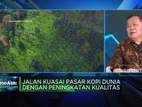 Video: Aturan EUDR Bikin Resah Industri Kopi, RI Aman?