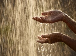 Video: Perkiraan Puncak Musim Hujan Wilayah Sumatra sampai Papua