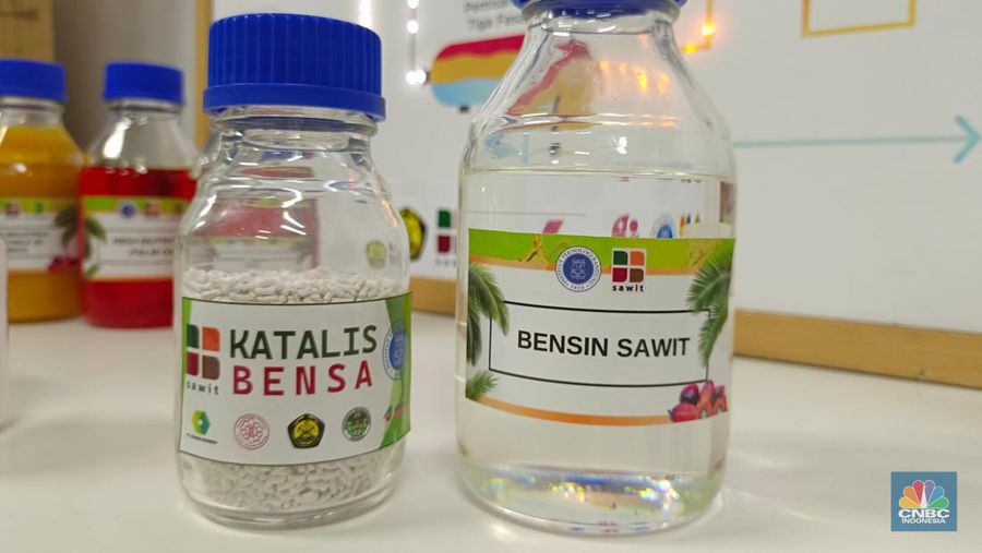 Direktur Eksekutif Gabungan Industri Minyak Nabati Indonesia (GIMNI) Sahat Sinaga. (CNBC Indonesia/Martyasari Rizky)