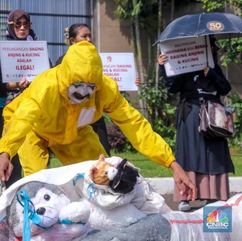 Ikut Korsel, Aktivis Gelar Aksi Tolak Perdagangan Daging Anjing-Kucing