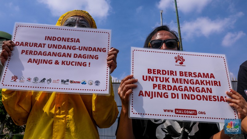 Sejumlah aktivis perdagangan hewan anjing dan kucing. Sejumlah aktivis melakukan aksi unjuk rasa yang menyerukan larangan nasional terhadap perdagangan hewan anjing dan kucing di depan gedung DPR/MPR RI, Jakarta, Kamis (1/2/2024). (CNBC Indonesia/Faisal Rahman)
