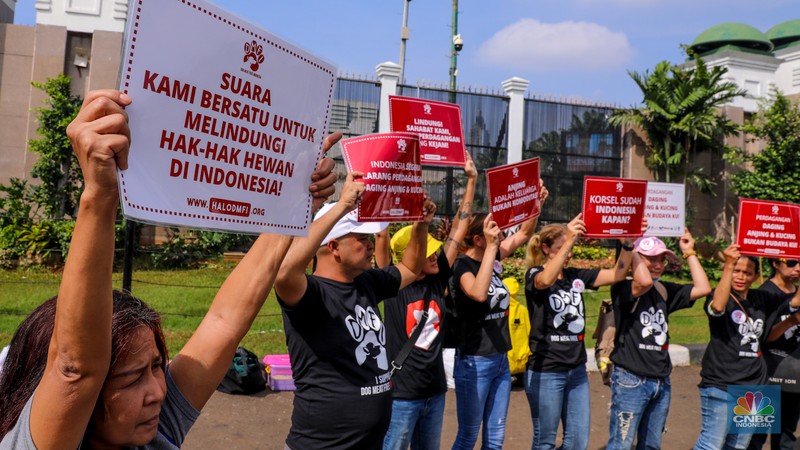 Sejumlah aktivis perdagangan hewan anjing dan kucing. Sejumlah aktivis melakukan aksi unjuk rasa yang menyerukan larangan nasional terhadap perdagangan hewan anjing dan kucing di depan gedung DPR/MPR RI, Jakarta, Kamis (1/2/2024). (CNBC Indonesia/Faisal Rahman)