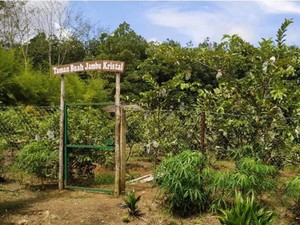 10 Tempat Wisata di Lampung Utara, Mempesona dan Bikin Betah