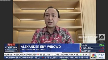 Harga Batu Bara Bisa Ambles ke US$ 100/Ton? Ini Kata Bos Bayan