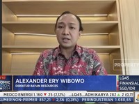 Harga Batu Bara Bisa Ambles ke US$ 100/Ton? Ini Kata Bos Bayan