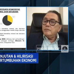 RI Kaya Minerba, Tapi Baru Sumbang US$ 47 M ke Kantong Negara