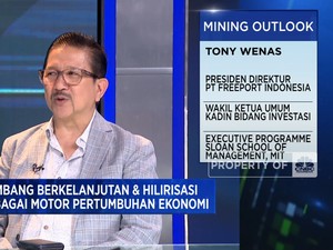 Target Freeport, Tekan Emisi 30% & Operasional Smelter di Agustus 2024