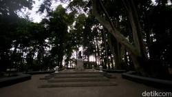 Jabar Bidik 3 Kawasan Jadi Taman Hutan Raya