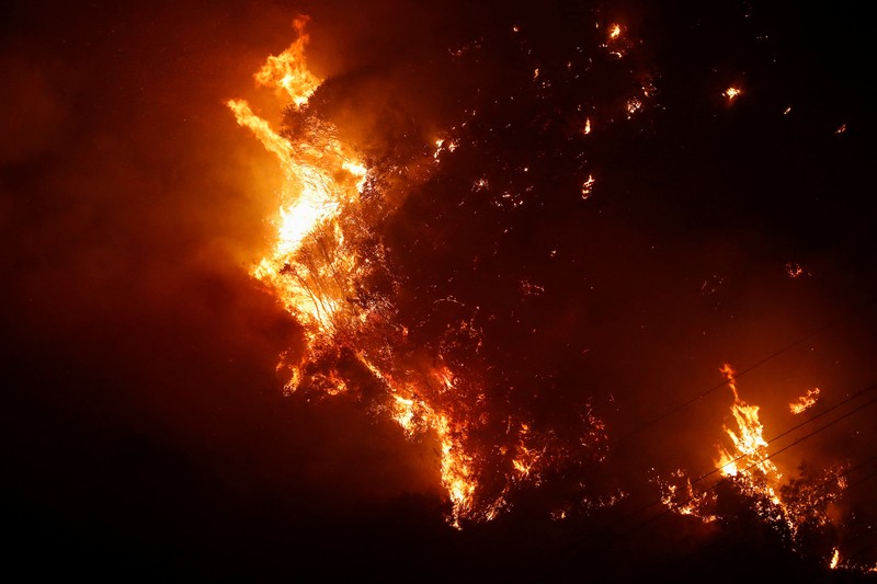 Asap hitam imbas kebakaran hutan menyelimuti langit di Vina Del Mar, Chili, Jumat (2/2/2024) waktu setempat. (REUTERS/RODRIGO GARRIDO)