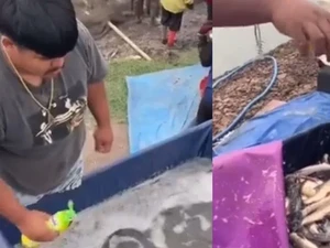 Parah! Penjual Ikan Campurkan Sabun Cuci ke Kolam, Ini Alasannya