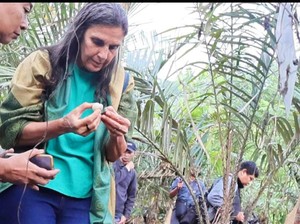 Salak Sibetan Bali Diusulkan Jadi Warisan Dunia, Sudah Dinilai Tim FAO