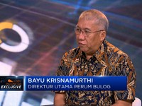 Bulog Tak Dapat Izin Impor Kerbau Meski Stok Habis