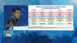 Video: Genjot Investasi, Ini Terobosan di Sektor Perikanan & Kelautan