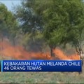 Video: Kebakaran Hutan di Chile, 46 Orang Tewas