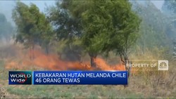 Video: Kebakaran Hutan di Chile, 46 Orang Tewas