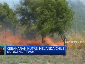  Kebakaran Hutan di Chile, 46 Orang Tewas