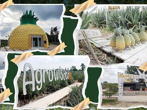 10 Tempat Wisata di Muaro Jambi, Ada Situs Candi hingga Agrowisata Kebun Nanas