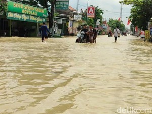 Pemprov Jateng: 2.662 Rumah-56 Hektare Sawah Terdampak Banjir Grobogan