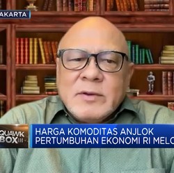 Video: Harga Batu Bara & CPO Cs Turun, Pertumbuhan Ekonomi RI Melorot