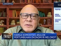Video: Harga Batu Bara & CPO Cs Turun, Pertumbuhan Ekonomi RI Melorot