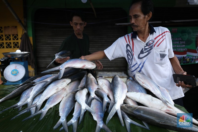 Pedagang ikan Bandeng musiman mulai berjualan di sepanjang Jalan Rawa Belong, Palmerah, Jakarta Barat, Selasa (6/2/2024). Pedagang ikan tersebut biasa berjualan saat menjelang Hari Raya Imlek. Pedagang ikan Bandeng musiman mulai berjualan di sepanjang Jalan Rawa Belong, Palmerah, Jakarta Barat, Selasa (6/2/2024). Pedagang ikan tersebut biasa berjualan saat menjelang Hari Raya Imlek. (CNBC Indonesia/Tri Susilo)