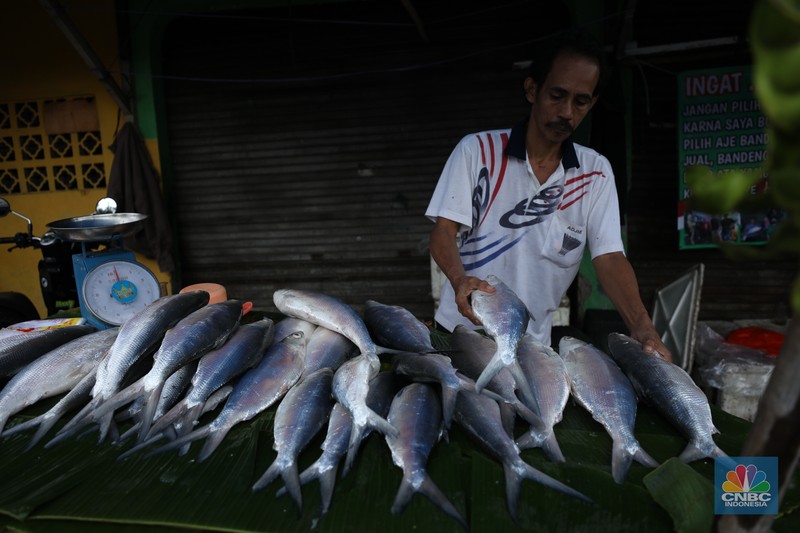 Pedagang ikan Bandeng musiman mulai berjualan di sepanjang Jalan Rawa Belong, Palmerah, Jakarta Barat, Selasa (6/2/2024). Pedagang ikan tersebut biasa berjualan saat menjelang Hari Raya Imlek. (CNBC Indonesia/Tri Susilo)