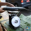 Banyak Orang Tak Tahu, 10 Ikan Ini Mengandung Merkuri Tinggi