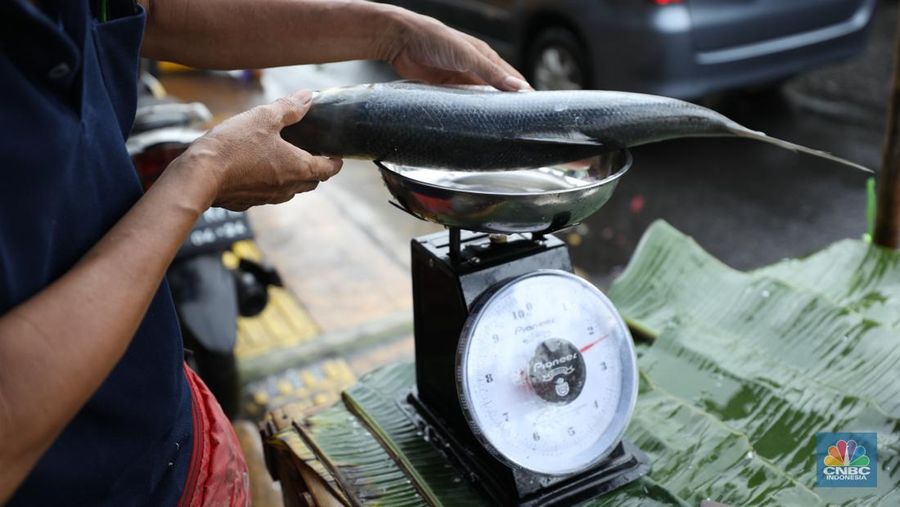 Pedagang ikan Bandeng musiman mulai berjualan di sepanjang Jalan Rawa Belong, Palmerah, Jakarta Barat, Selasa (6/2/2024). Pedagang ikan tersebut biasa berjualan saat menjelang Hari Raya Imlek. (CNBC Indonesia/Tri Susilo)