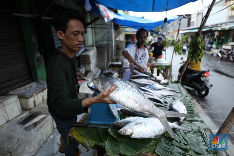 Pedagang ikan Bandeng musiman mulai berjualan di sepanjang Jalan Rawa Belong, Palmerah, Jakarta Barat, Selasa (6/2/2024). Pedagang ikan tersebut biasa berjualan saat menjelang Hari Raya Imlek. Pedagang ikan Bandeng musiman mulai berjualan di sepanjang Jalan Rawa Belong, Palmerah, Jakarta Barat, Selasa (6/2/2024). Pedagang ikan tersebut biasa berjualan saat menjelang Hari Raya Imlek. (CNBC Indonesia/Tri Susilo)