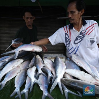 Jelang Imlek, Pedagang Musiman Ikan Bandeng Penuhi Trotoar Rawa Belong