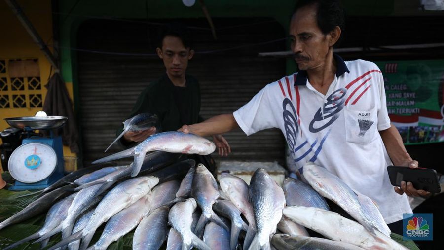 Pedagang ikan Bandeng musiman mulai berjualan di sepanjang Jalan Rawa Belong, Palmerah, Jakarta Barat, Selasa (6/2/2024). Pedagang ikan tersebut biasa berjualan saat menjelang Hari Raya Imlek. (CNBC Indonesia/Tri Susilo)