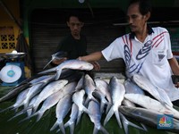 Jelang Imlek, Pedagang Musiman Ikan Bandeng Penuhi Trotoar Rawa Belong