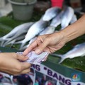 Pedagang ikan Bandeng musiman mulai berjualan di sepanjang Jalan Rawa Belong, Palmerah, Jakarta Barat, Selasa (6/2/2024). Pedagang ikan tersebut biasa berjualan saat menjelang Hari Raya Imlek. (CNBC Indonesia/Tri Susilo)