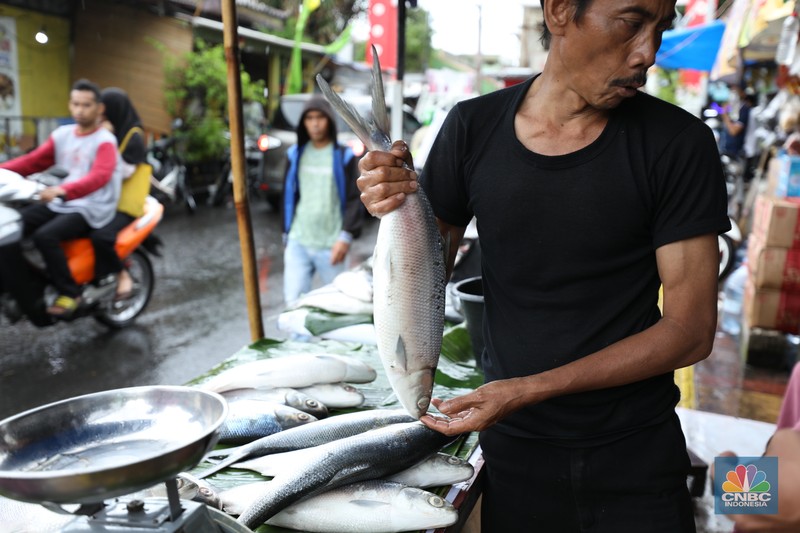 Pedagang ikan Bandeng musiman mulai berjualan di sepanjang Jalan Rawa Belong, Palmerah, Jakarta Barat, Selasa (6/2/2024). Pedagang ikan tersebut biasa berjualan saat menjelang Hari Raya Imlek. Pedagang ikan Bandeng musiman mulai berjualan di sepanjang Jalan Rawa Belong, Palmerah, Jakarta Barat, Selasa (6/2/2024). Pedagang ikan tersebut biasa berjualan saat menjelang Hari Raya Imlek. (CNBC Indonesia/Tri Susilo)