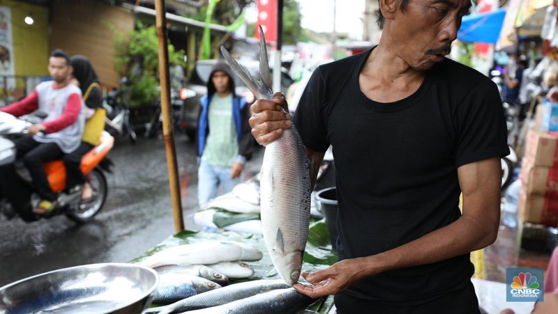 Pedagang ikan Bandeng musiman mulai berjualan di sepanjang Jalan Rawa Belong, Palmerah, Jakarta Barat, Selasa (6/2/2024). Pedagang ikan tersebut biasa berjualan saat menjelang Hari Raya Imlek. (CNBC Indonesia/Tri Susilo)