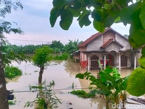 Bengawan Solo di Lamongan Siaga Merah, Wilayah Babat-Laren Mulai Kebanjiran